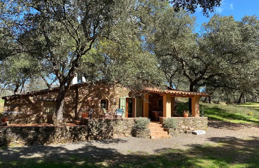 Valle del Arroyo Casas Rurales - B&B - Solo adultos-1